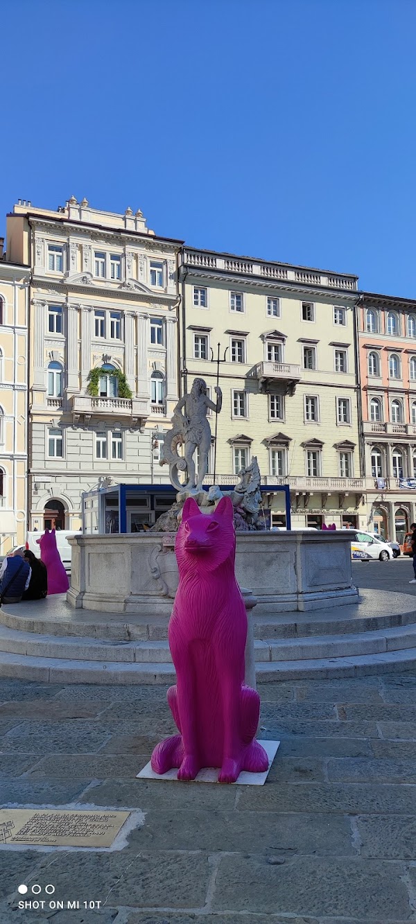 Trieste 2