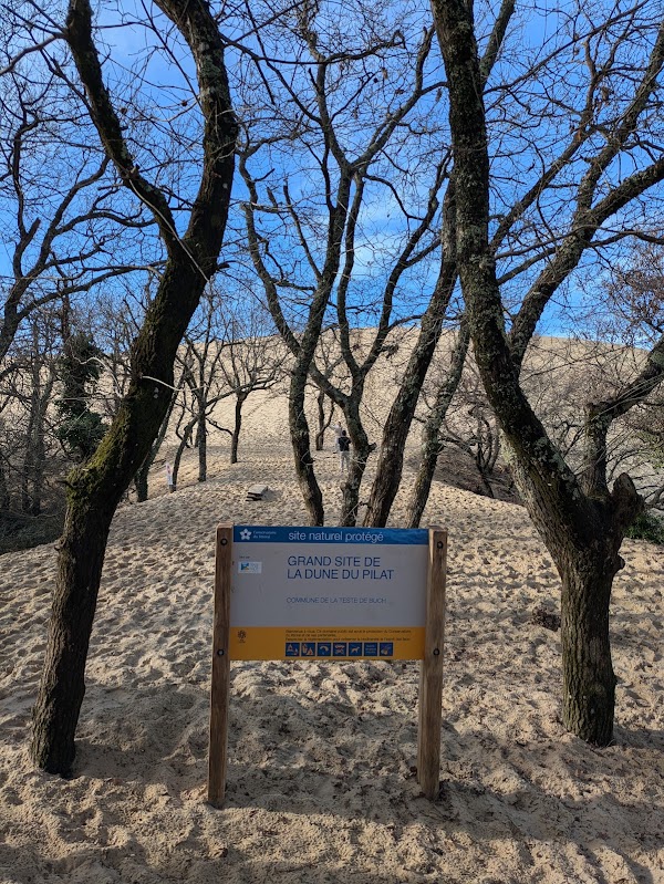 Dune of Pilat 2