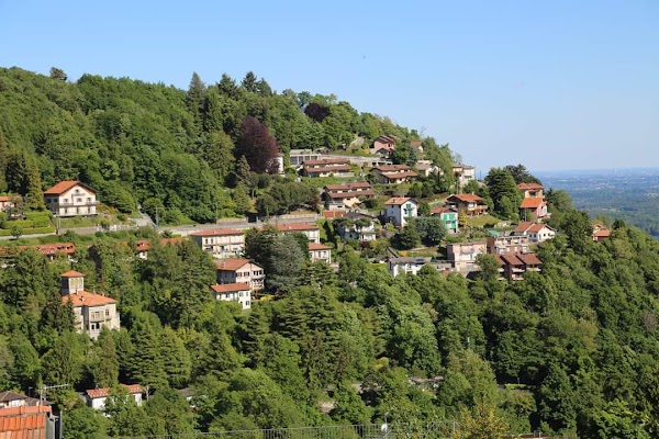Brunate