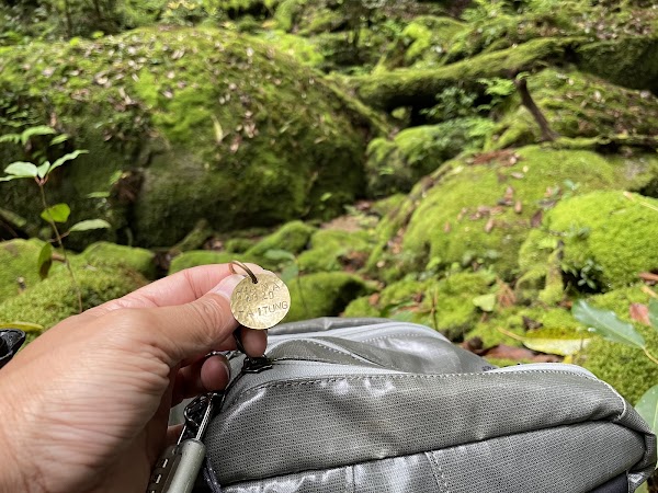 Kokemusu Forest 2