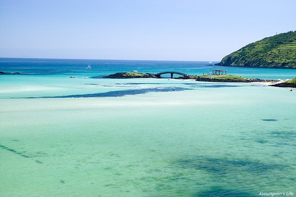 함덕서우봉해변 5