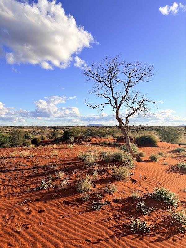 Sandy View Rest area