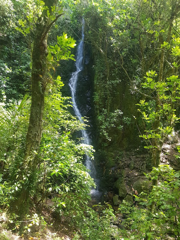Percy Scenic Reserve Waterfall 1