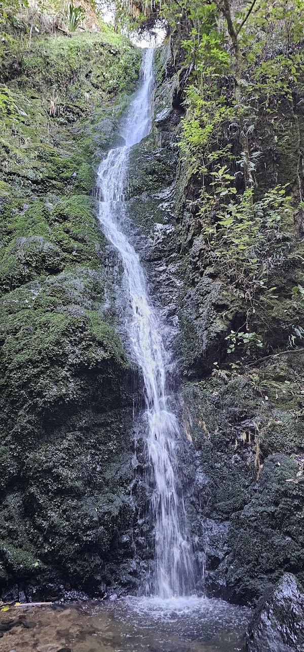 Percy Scenic Reserve Waterfall 5
