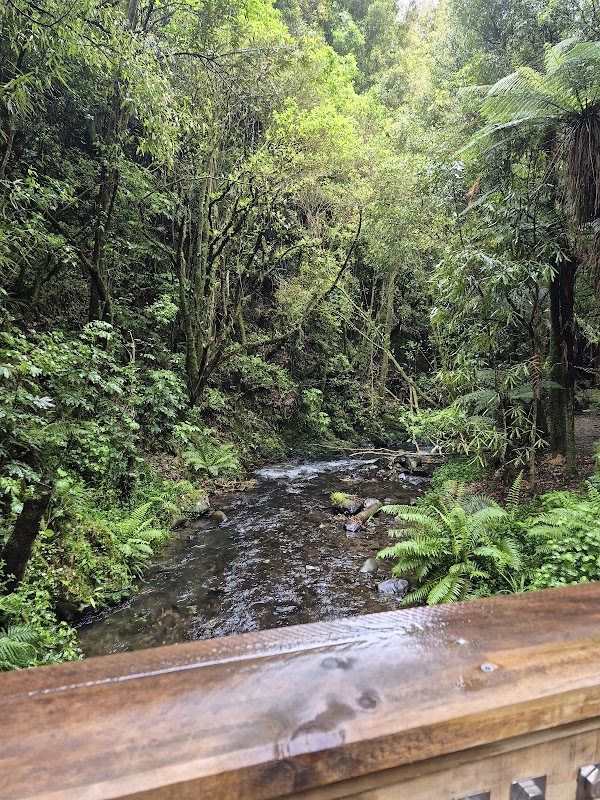 Percy Scenic Reserve Waterfall 4