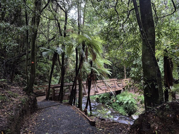Percy Scenic Reserve Waterfall 3