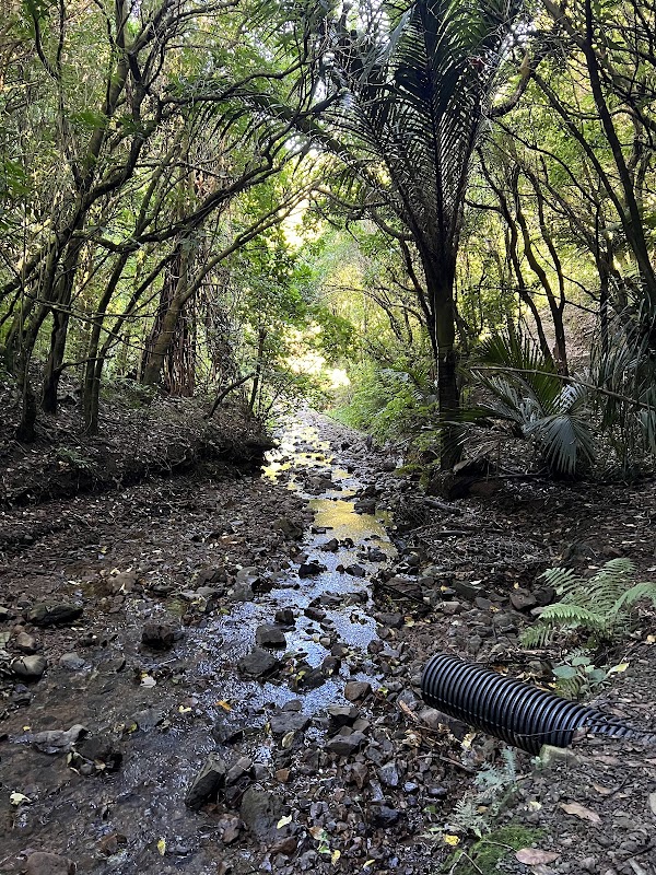 Percy Scenic Reserve Waterfall 2