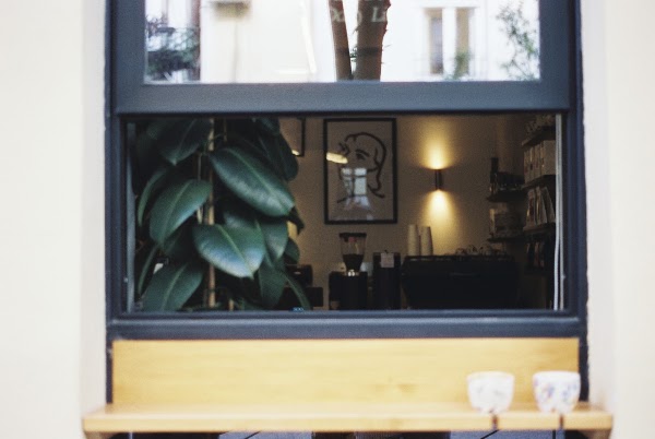 Sood Coffee (Café de especialidad / Specialty Coffee) 3