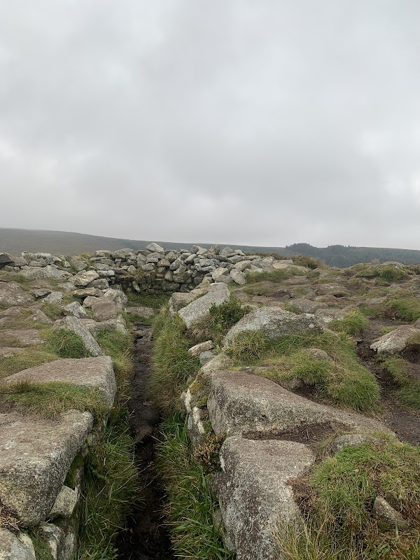 Tibradden Mountain