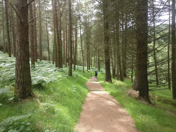 Tibradden Mountain 4