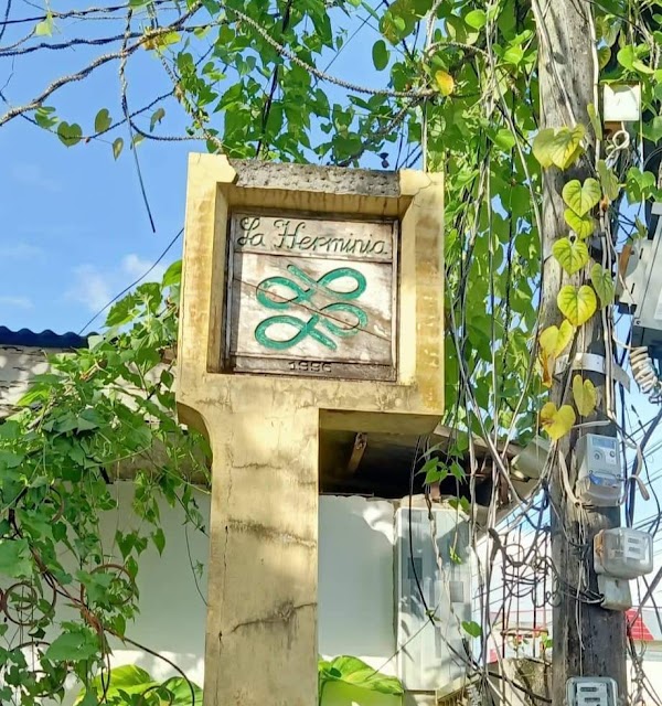 La Herminia Piña Weaving