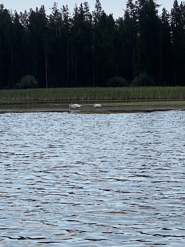 Hebgen Lake 2