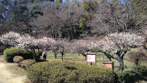 Yakushiike Park 2