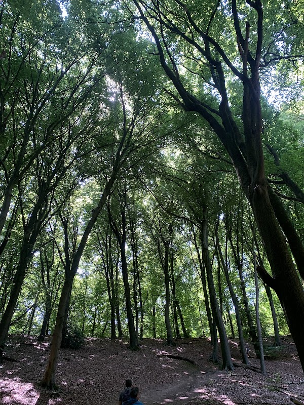 Beginpunt N70 Natuurwandelroute 4