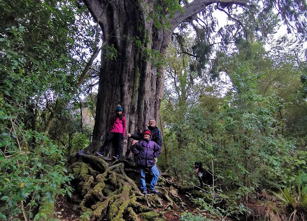 Opepe Scenic & Historic Reserve