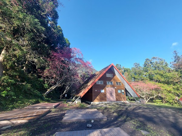 Walami Cabin 5