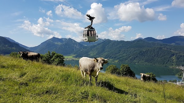 Seilbahn Schliersbergalm - Hotel- und Seilbahn-Betriebs GmbH