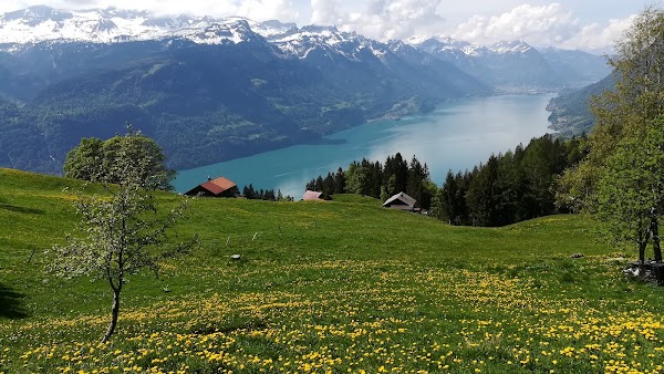 Planalp