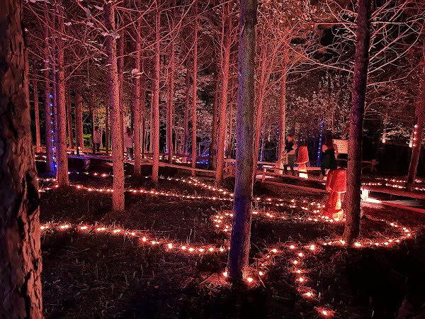 AGORA: Path of Light 1
