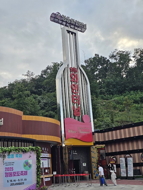 영동와인터널 와인판매장 4