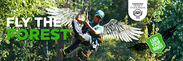 Tsitsikamma Canopy Tours 1