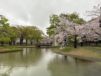 Yoyogi Park 2