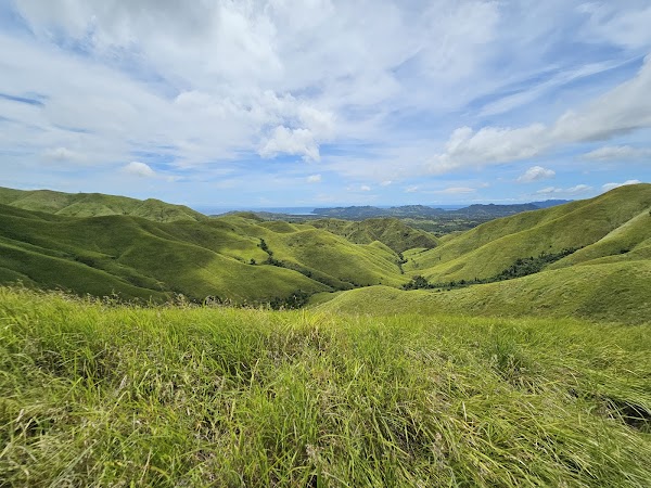 The Alicia Panoramic Park(TAPP)