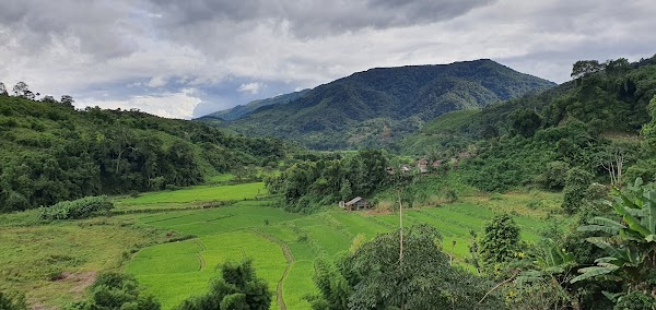 Bo Kluea District 1