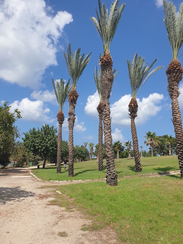 HaKishon Park 1