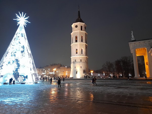 Bell Tower of Vilnius Cathedral 3