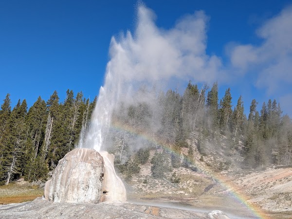 Lone Star Geyser