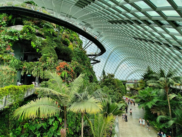 Gardens by the Bay 4
