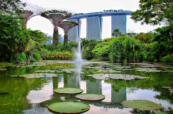 Gardens by the Bay 2