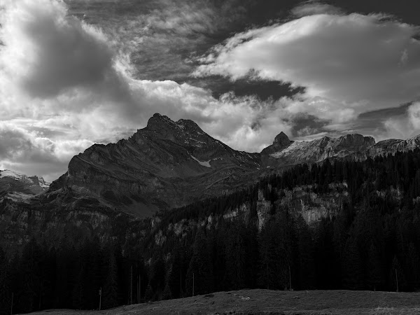Seilpark Braunwald 4