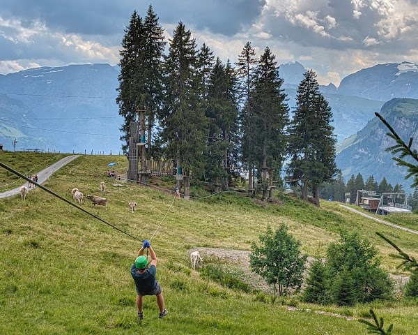Seilpark Braunwald 3