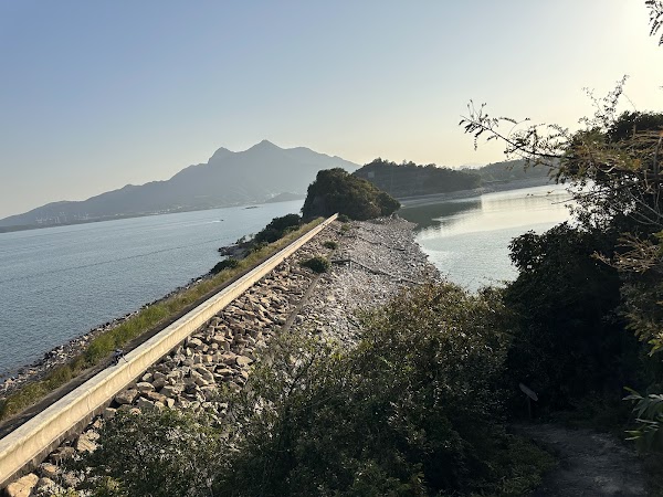 Hong Kong 7