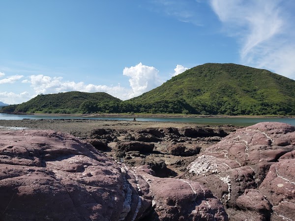 Plover Cove Country Park 2