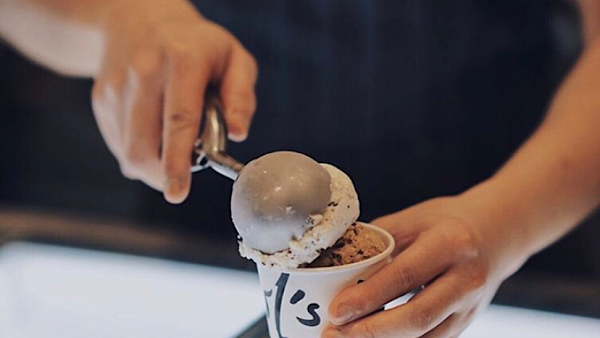 Owl's Choux.Gelato.Coffee 4