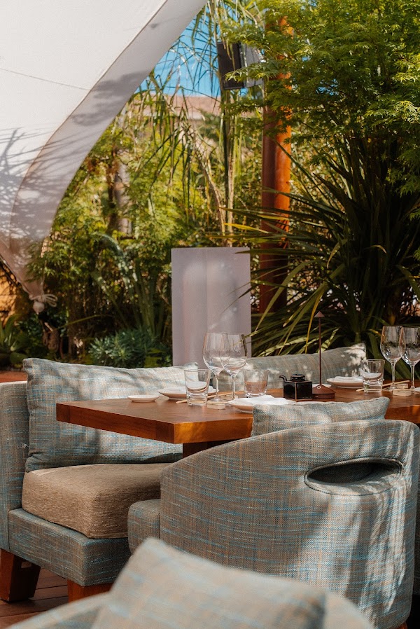Zuma St. Tropez