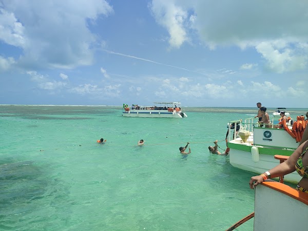 Maragogi Natural pools - AL 1