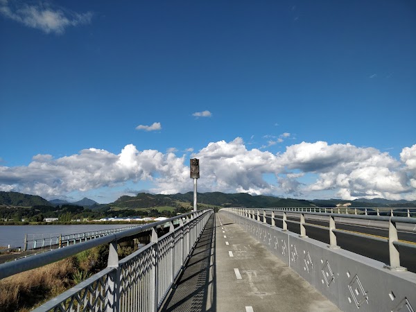 Waihou River 1