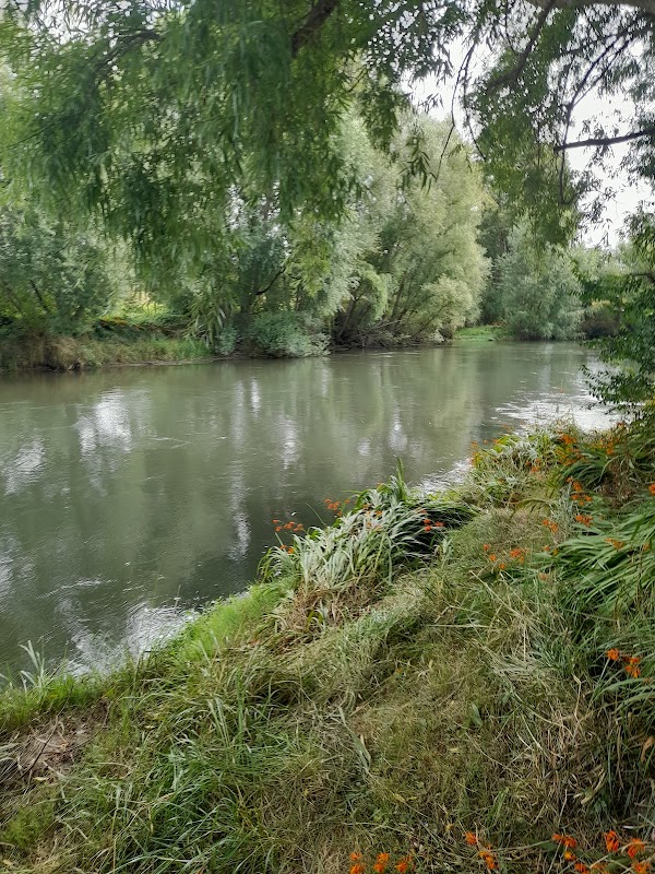Waihou River 5