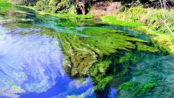 Waihou River 3