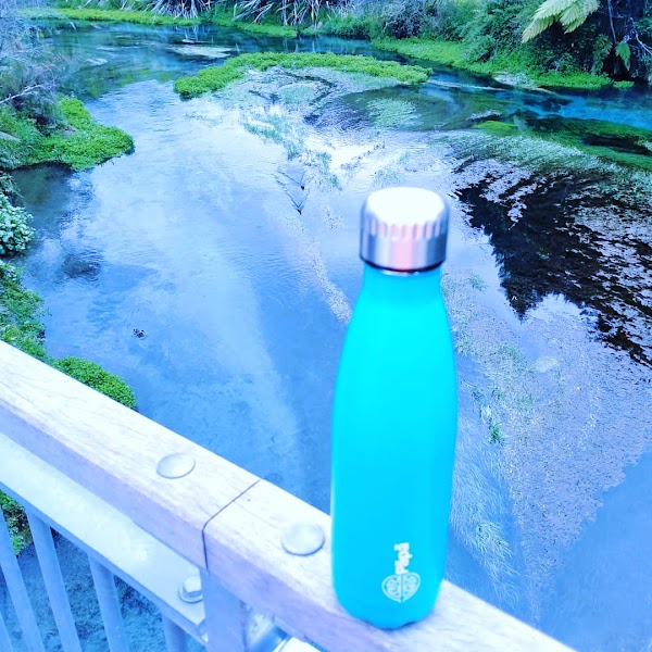 Waihou River 2