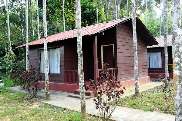 Lazo Areca Resort , Coorg