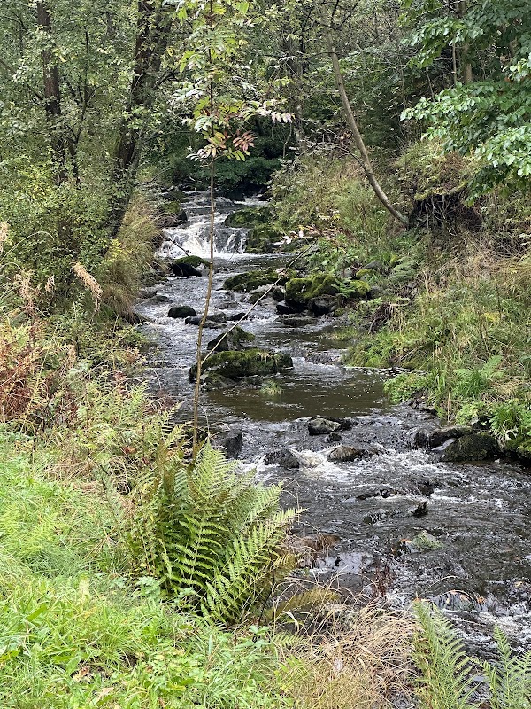 Radau Wasserfall 5