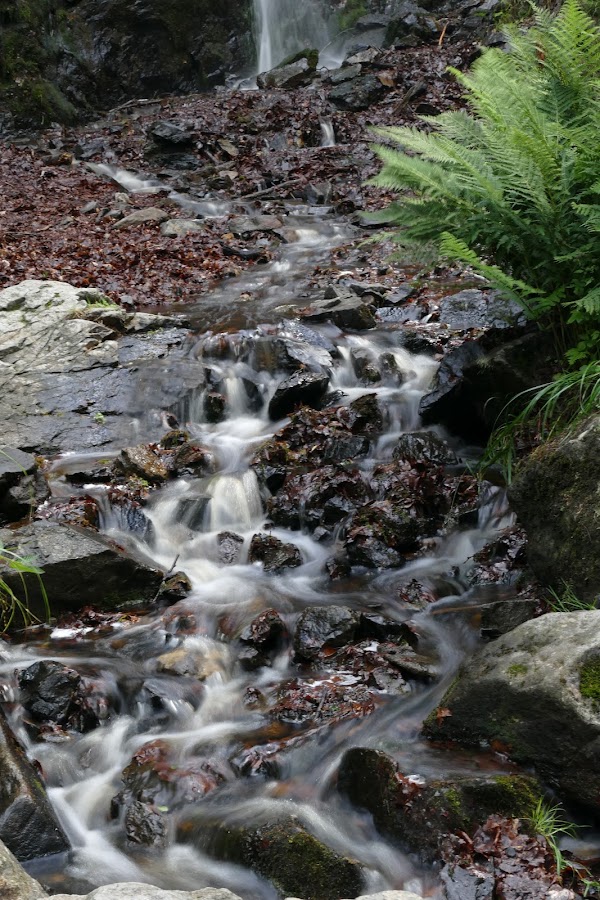 Radau Wasserfall 2
