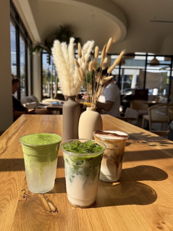 Hala Coffee 2