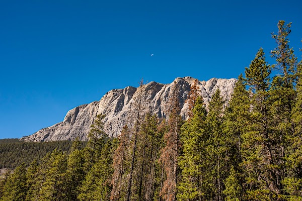 Grassi Lakes 4