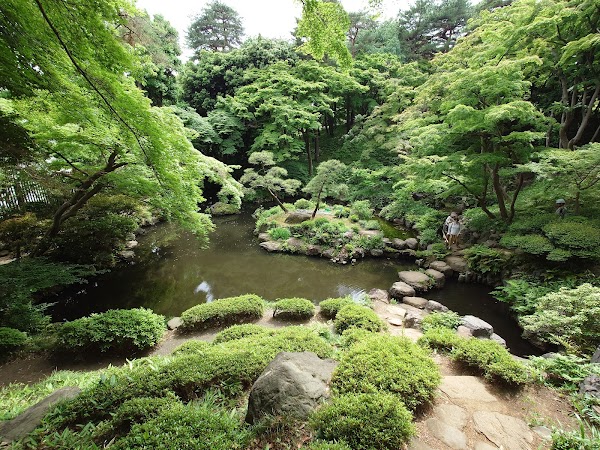 Tokyo Spring: Festival guide🌸🌷 9